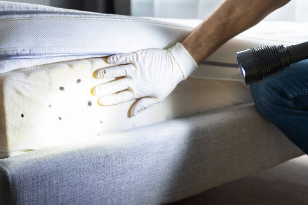 Best Wildlife Control Services  in Bismarck, ND