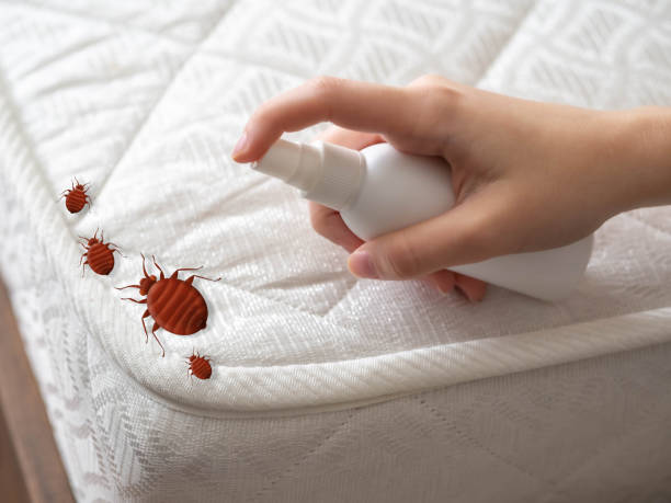 Best Residential Pest Control  in Bismarck, ND